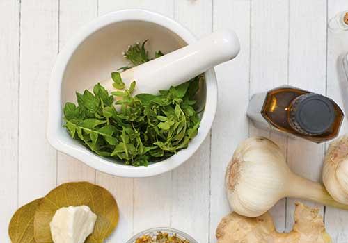 Phytotherapie